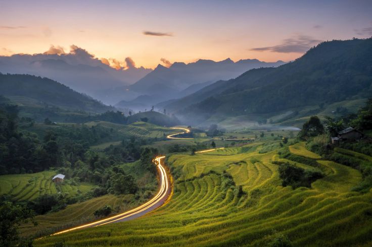 văn hóa