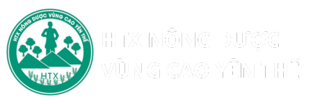 Demo Website bán thực phẩm sạch