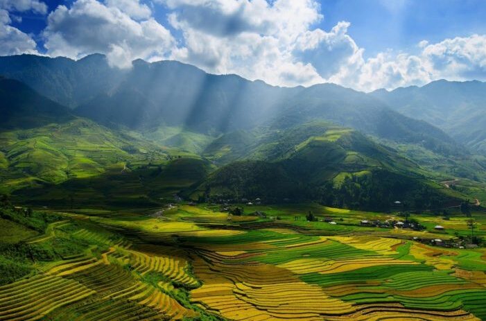 hương vị