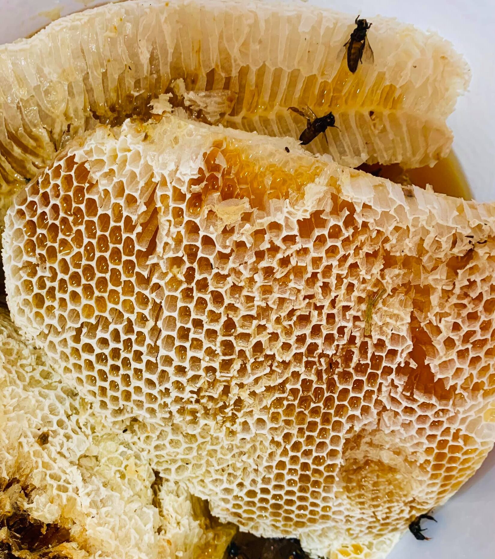thành phần tự nhiên